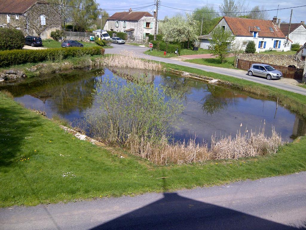 Gite Du Grand Morin Villeneuve-la-Lionne Eksteriør billede